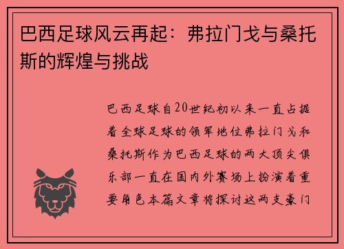 巴西足球风云再起：弗拉门戈与桑托斯的辉煌与挑战