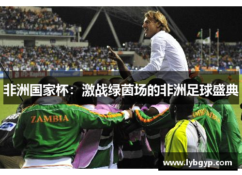 非洲国家杯：激战绿茵场的非洲足球盛典