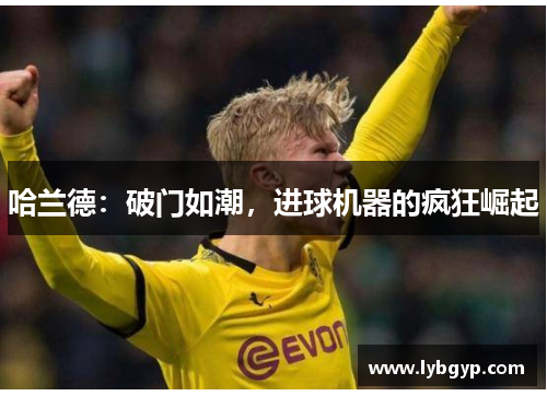 哈兰德：破门如潮，进球机器的疯狂崛起